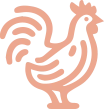 Icône coq identité visuelle Le Comptoir Massieux